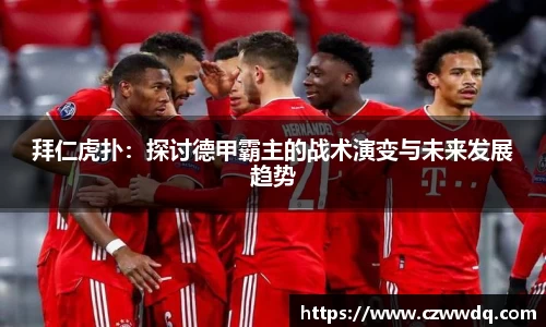 拜仁虎扑：探讨德甲霸主的战术演变与未来发展趋势